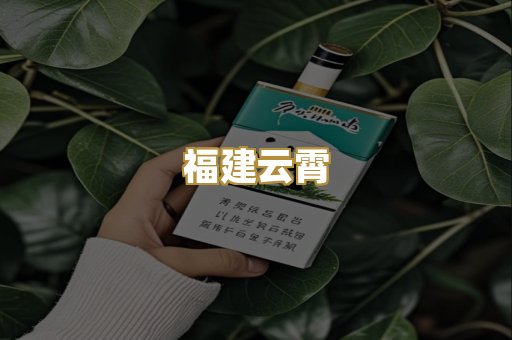 福建云霄